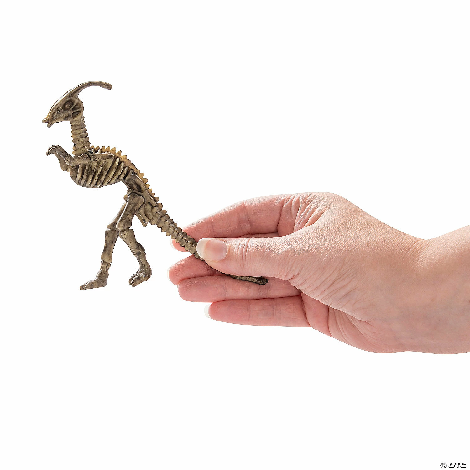 Deals ⌛ Dino-Mite Dinosaur Skeletons - 12 Pc. ⭐ 4 Deals ⌛ Dino-Mite Dinosaur Skeletons - 12 Pc. ⭐ - Image 2
