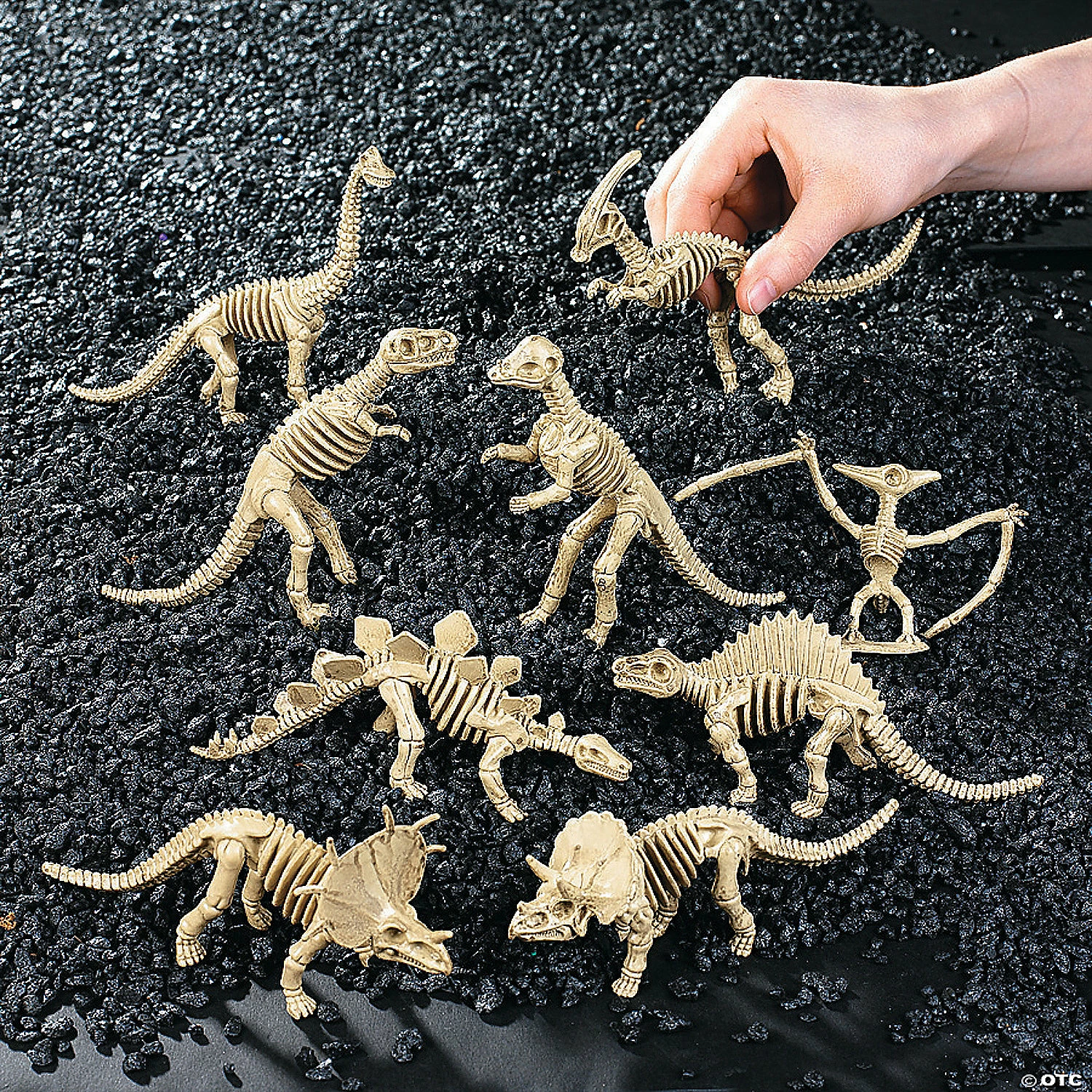 Deals ⌛ Dino-Mite Dinosaur Skeletons - 12 Pc. ⭐ 5 Deals ⌛ Dino-Mite Dinosaur Skeletons - 12 Pc. ⭐ - Image 3