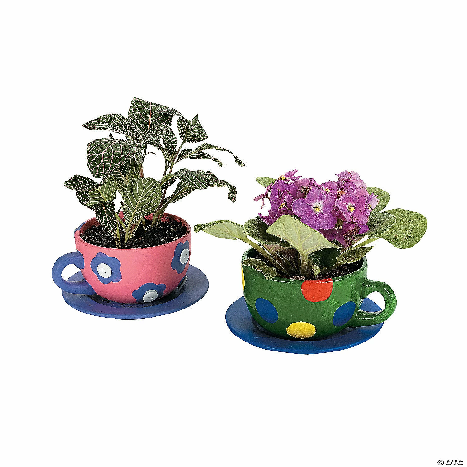 Hot Sale 🥰 DIY Ceramic Tea Cup Planters - 6 Pc. 🎁 4 Hot Sale 🥰 DIY Ceramic Tea Cup Planters - 6 Pc. 🎁 - Image 2