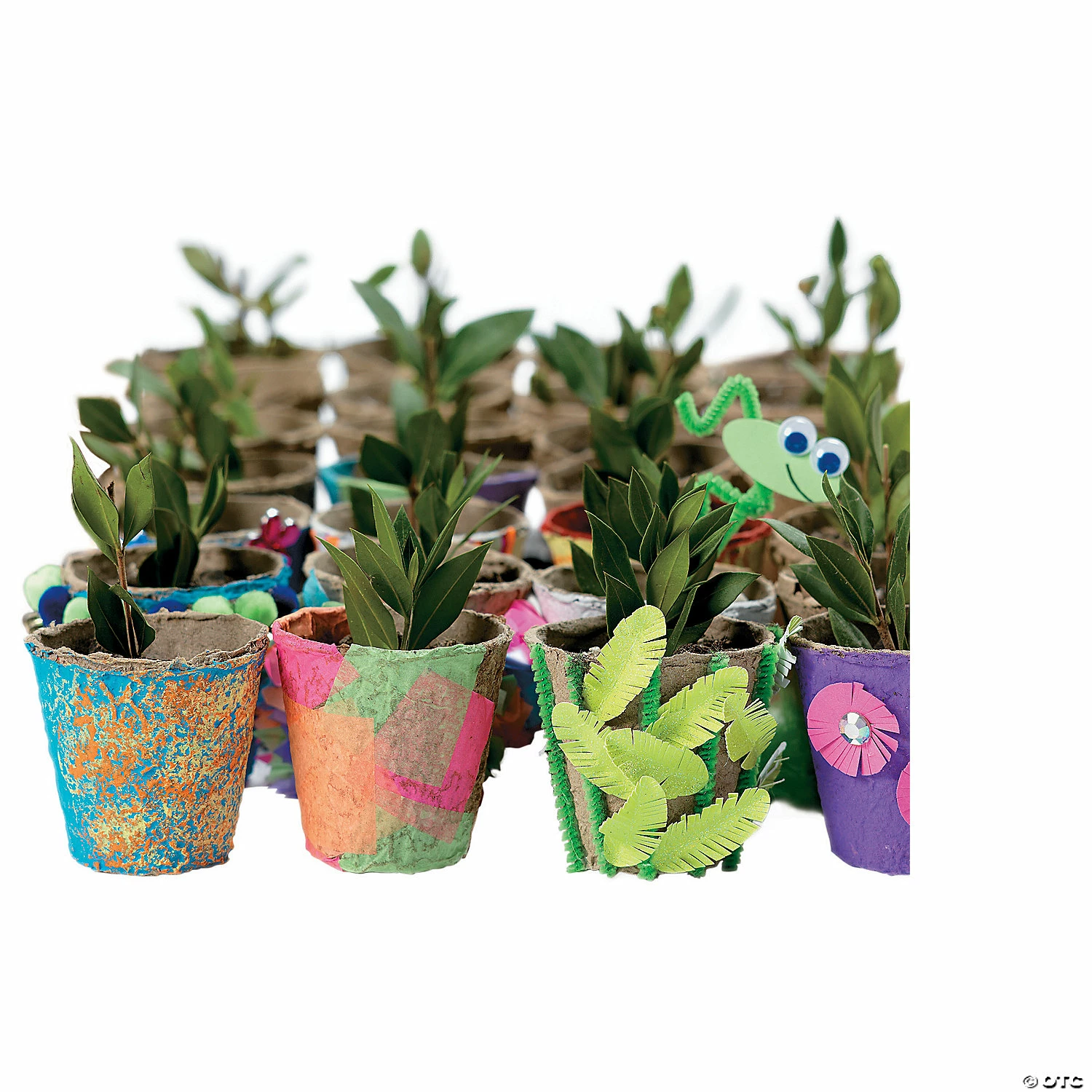 Deals ๐ฅฐ DIY โ Watch It Grow Seed Pots - 24 Pc. ๐ 4 Deals ๐ฅฐ DIY โ Watch It Grow Seed Pots - 24 Pc. ๐ - Image 2