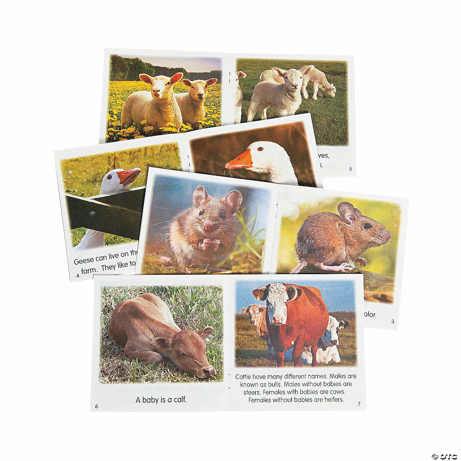 Deals ๐ Farm Animal Readers - 20 Pc. ๐ 3 Deals ๐ Farm Animal Readers - 20 Pc. ๐ - Image 2