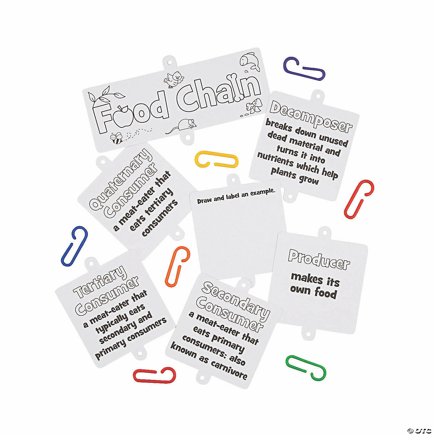 Buy ๐ฅ Food Chain Linking Craft Kit - Makes 12 โจ 4 Buy ๐ฅ Food Chain Linking Craft Kit - Makes 12 โจ - Image 2