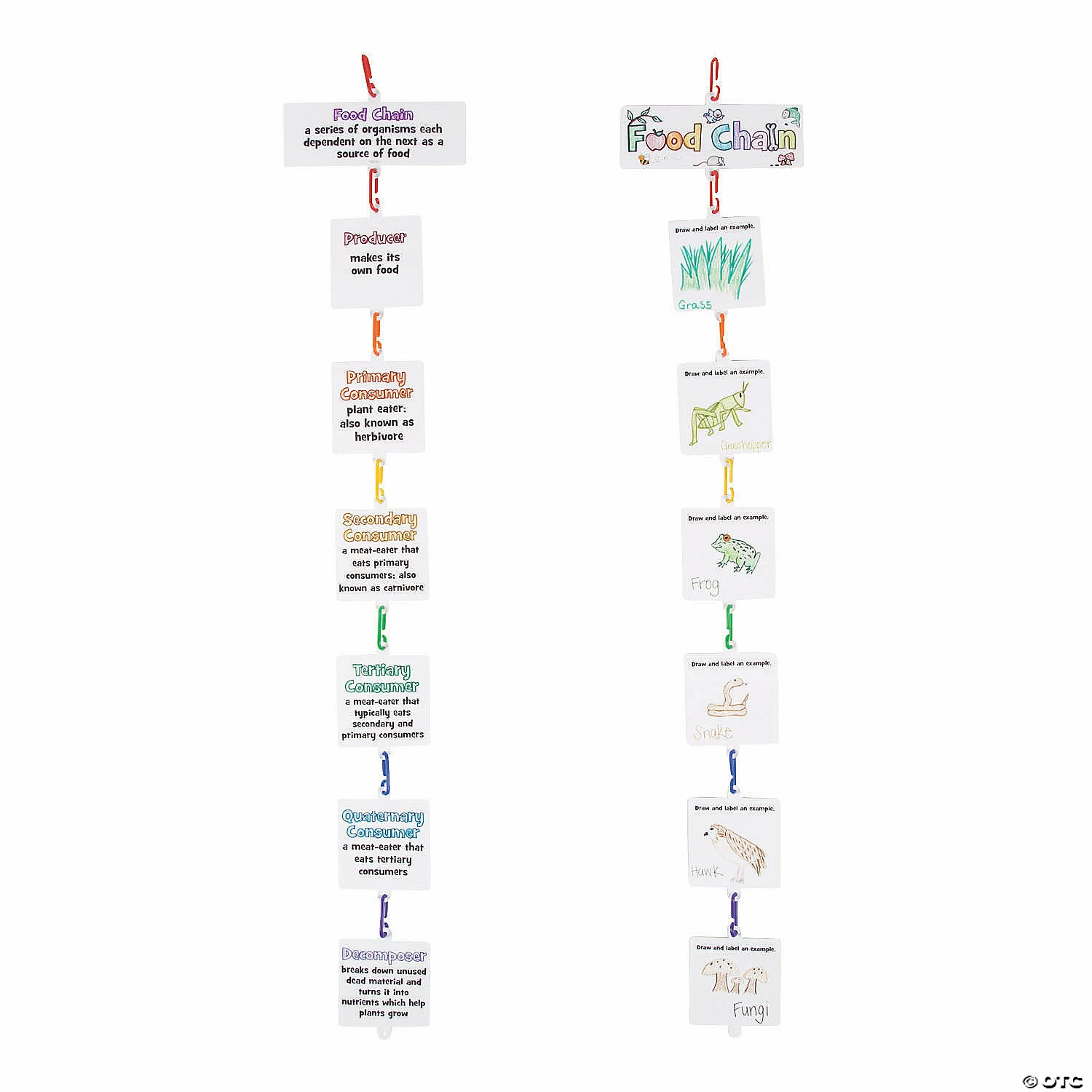 Buy ๐ฅ Food Chain Linking Craft Kit - Makes 12 โจ 3 Buy ๐ฅ Food Chain Linking Craft Kit - Makes 12 โจ