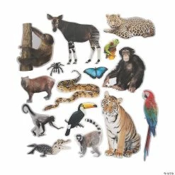 Hot Sale 🛒 Jumbo Realistic Rainforest Cutouts - 15 Pc. 🔥