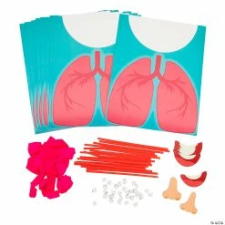 Deals ๐ STEM Lung Model Kit - Makes 10 โ 6 Deals ๐ STEM Lung Model Kit - Makes 10 โ -BTSE Shop stem lung model kit makes 1014105152 a01