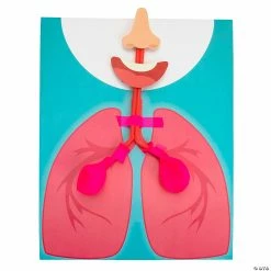 Deals ๐ STEM Lung Model Kit - Makes 10 โ 7 Deals ๐ STEM Lung Model Kit - Makes 10 โ -BTSE Shop stem lung model kit makes 1014105152 a02